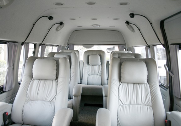 10 passenger luxury van